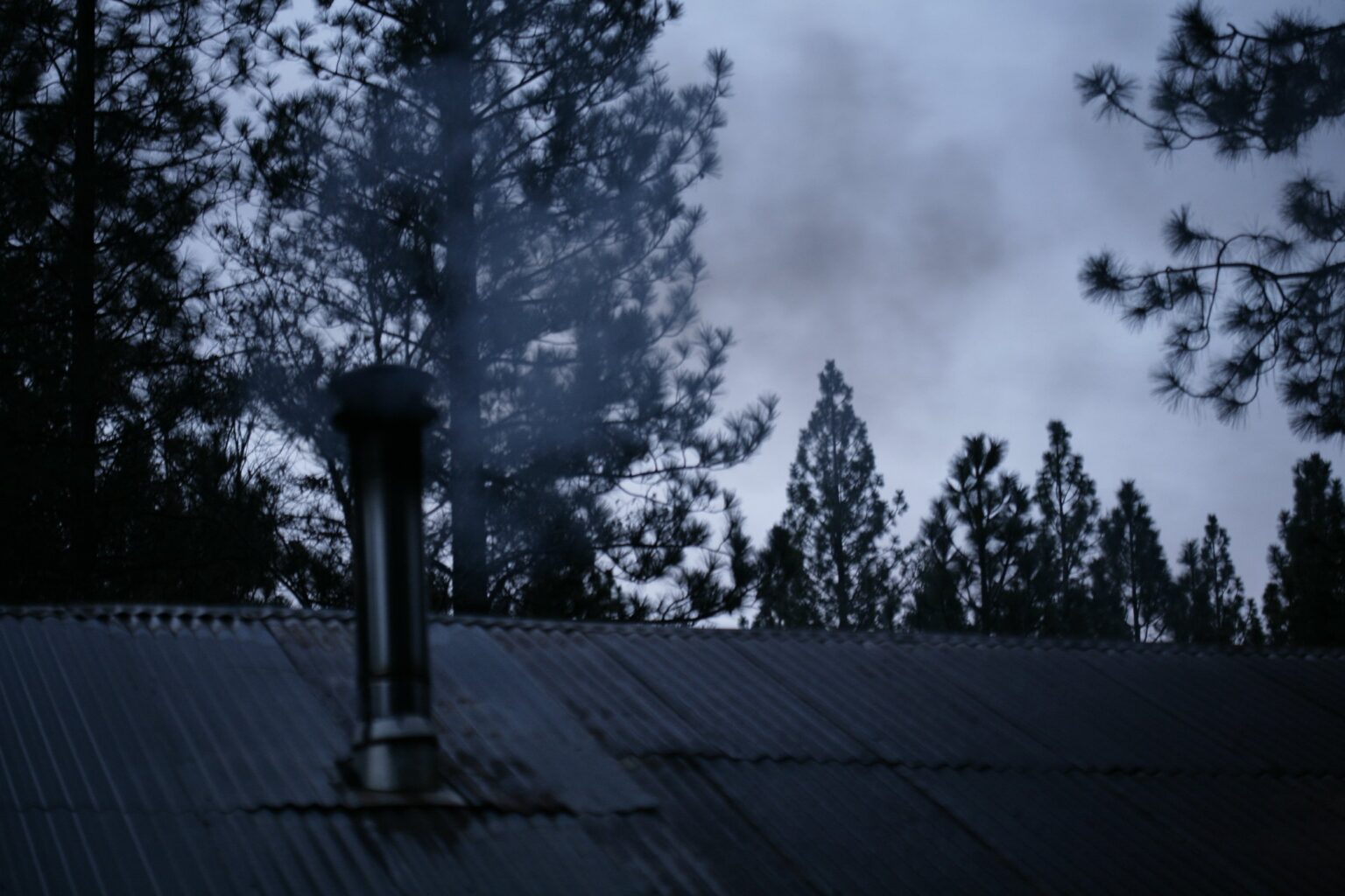 Smoke rising from a chimney above a corrugated roof, surrounded by pine trees.
