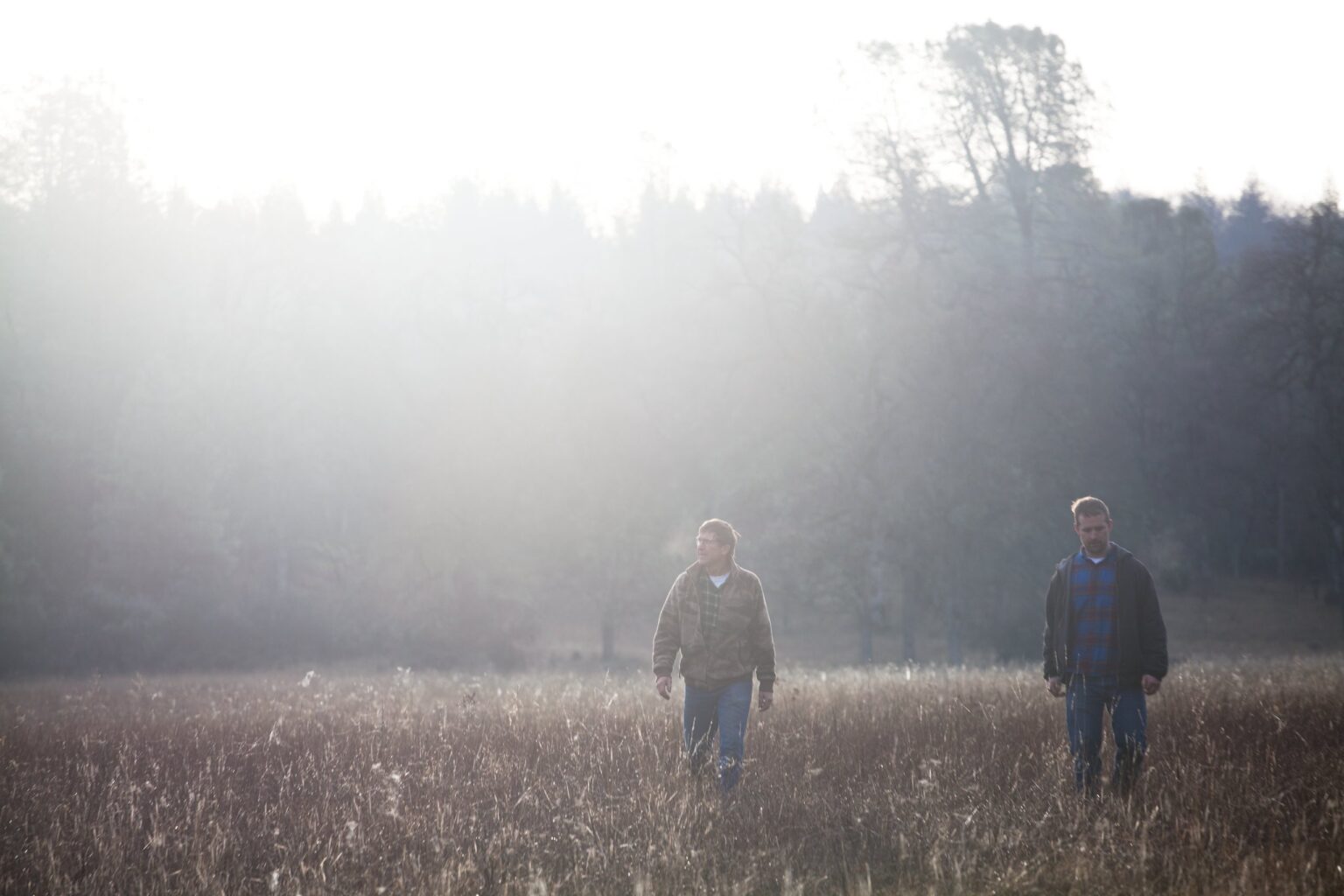 Two people walk through the grass at the edge of a misty forest.
