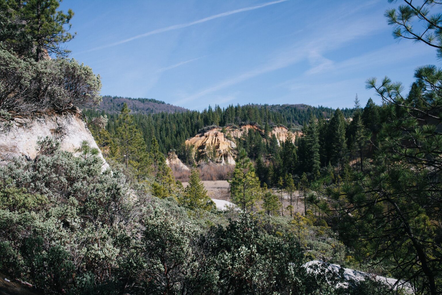 Open view of the Diggins landscape, with pale eroded hills and a pine forest.