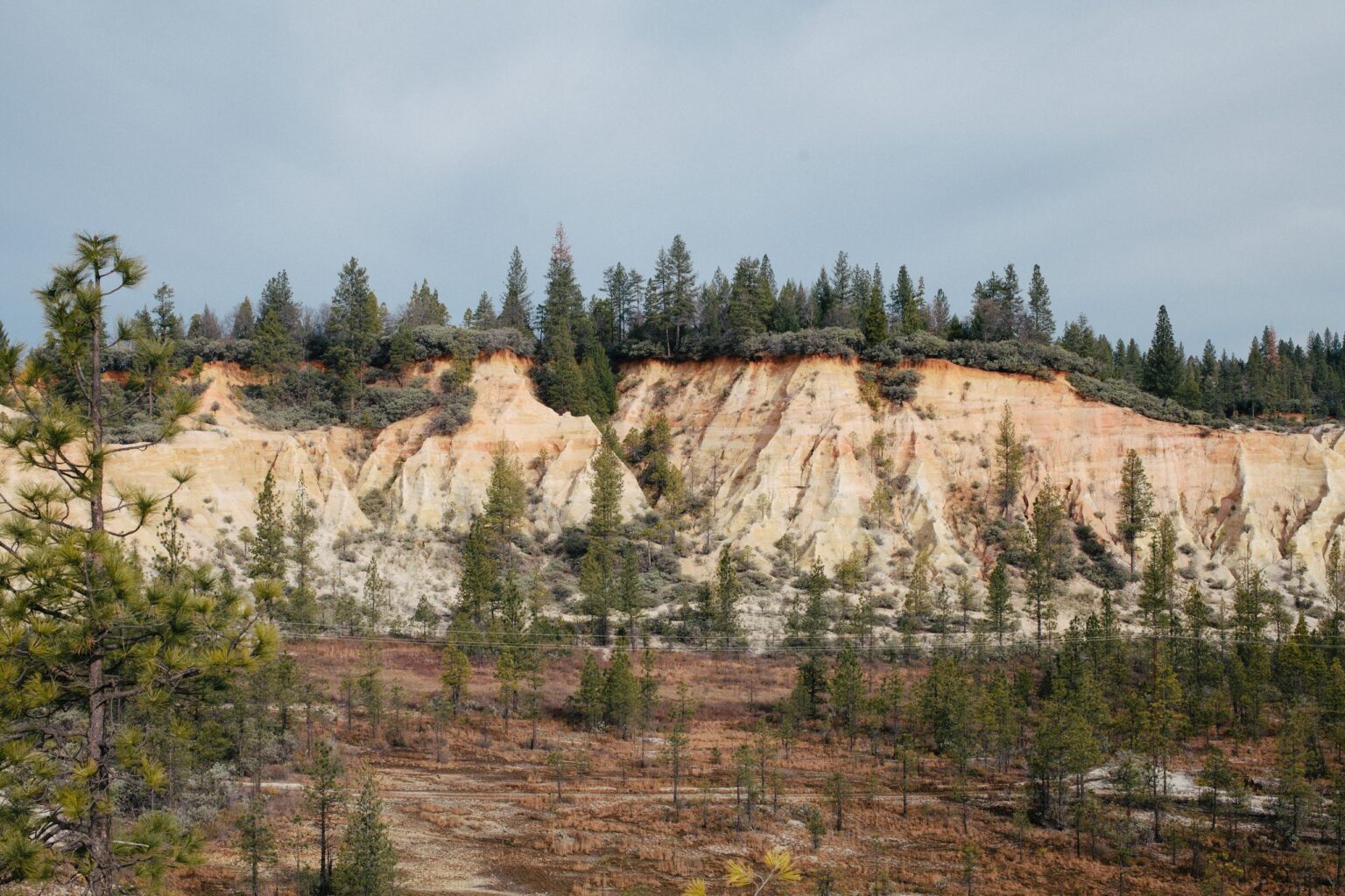 Pale excavated hillsides surrounded by pines at the Diggins.