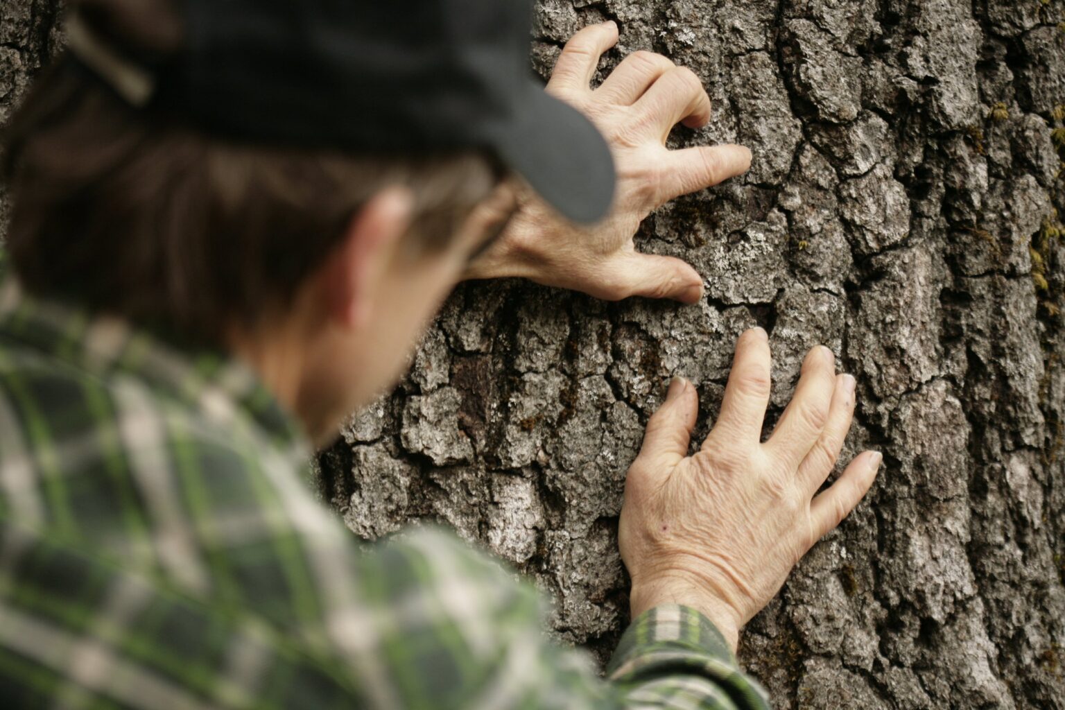 A person rests both hands on the bark of a tree.