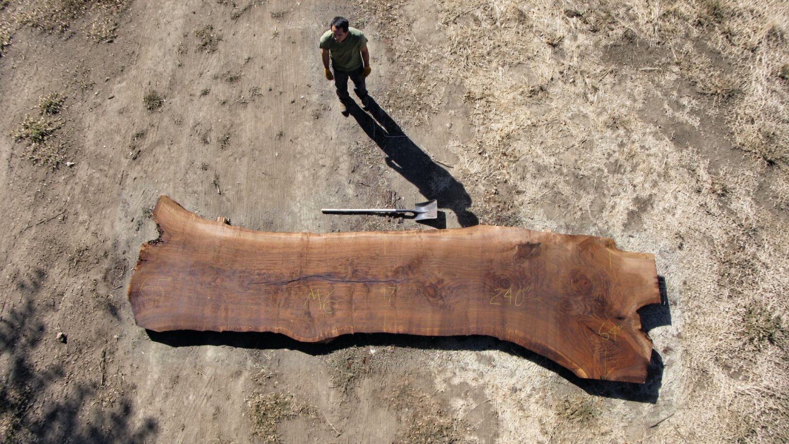 Overhead photograph of a craftsman beside a large live-edge wood slab, with the full figure and natural ground visible.